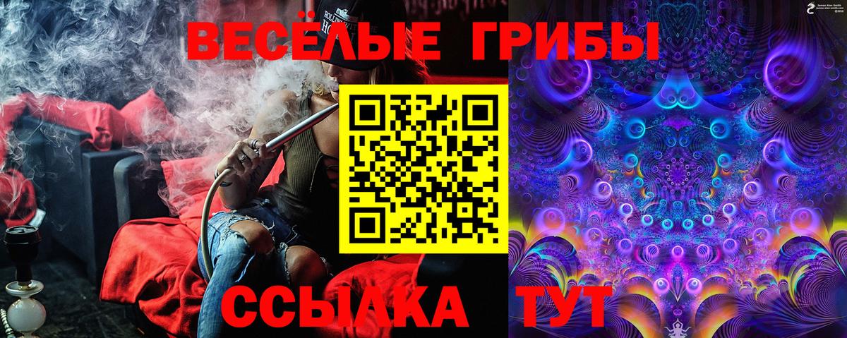 Серов  Псилоцибиновые грибы мухоморы  Псилоцибиновые грибы ЛСД  Вход с VPN 