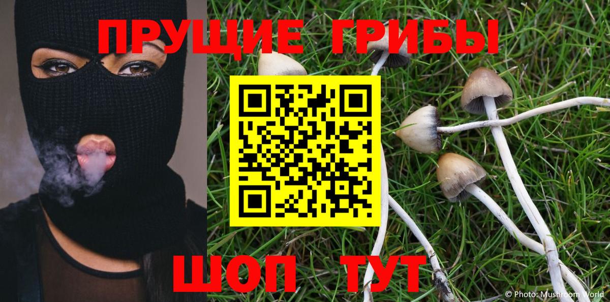 Псилоцибиновые грибы Psilocybine cubensis Серов